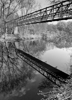 Sheffield and Rotherham canal