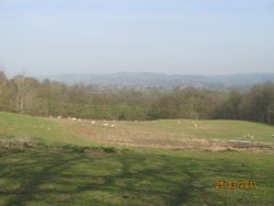 Overlooking Duffield Wallpaper