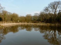 Mirror Mirror On The Water Wallpaper