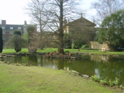 Emmanuel College, Cambridge Wallpaper