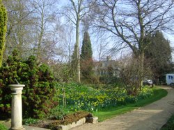 Pembroke College Gardens Wallpaper