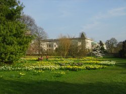 Pembroke College Gardens Wallpaper