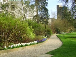 Peterhouse College Gardens Wallpaper