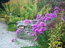 Garden at the Lamb Inn
