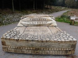 Staple Hill Wallpaper