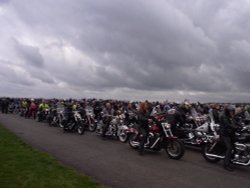 Wootton Basset Wallpaper