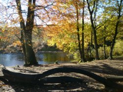 By the River Wallpaper