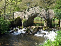Dunster Castle gardens Wallpaper