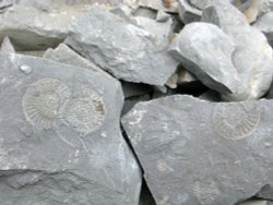 Watchet  Donniford Bay Wallpaper