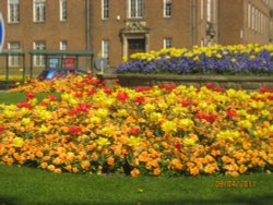 Roundabout near the bus station Wallpaper