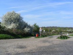 This Way To The Common Wallpaper