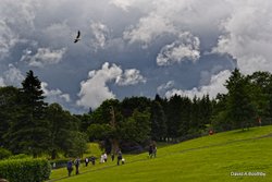 Stormy day at Bowness Wallpaper