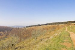 Ole of Horcum Wallpaper