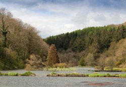 Spring morning Wallpaper