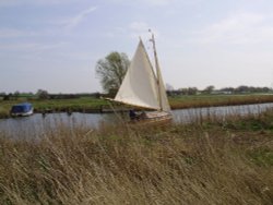 Sailing in the marshes