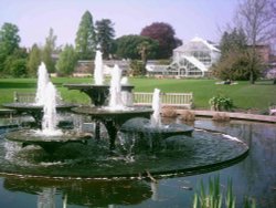 Cambridge - Botanical Gardens - April 2011 Wallpaper