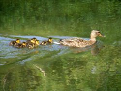 KEEP UP EVERYONE !!! Wallpaper