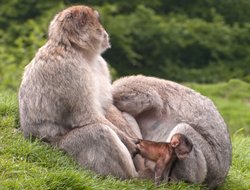 Finding my feet Wallpaper
