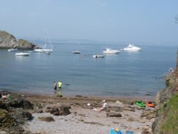 Fishcombe Cove Wallpaper