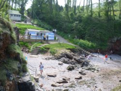 Fishcombe Cove Wallpaper