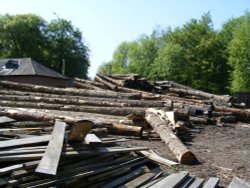 The Sawmill? Wallpaper