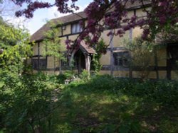 Wattle and Daub Cottage Wallpaper