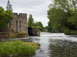 Beside the River Wallpaper