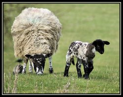 Me And My Maaam Wallpaper