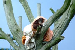 Where's the umbrella when it's needed? Wallpaper