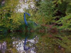 Out of the swamp Wallpaper