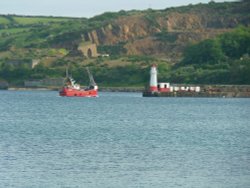 Coming Home Wallpaper