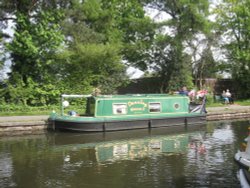 Dancing Queen II Wallpaper