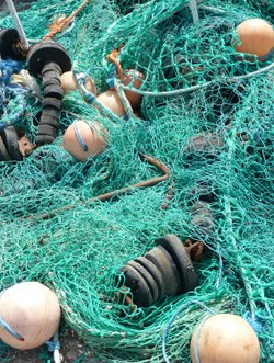 LIFE IS SUCH A TANGLED MESS !!