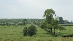 Fields In Bitteswell Wallpaper
