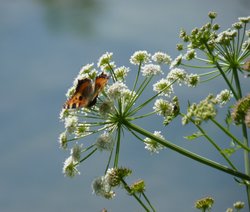 Time for a rest Wallpaper