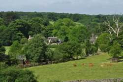 Newtown Linford Wallpaper