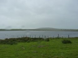 TIS WET UP ON THEM MOORS Wallpaper