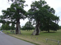 Blenheim Palace Wallpaper