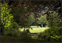 Light and Shade. Wallpaper