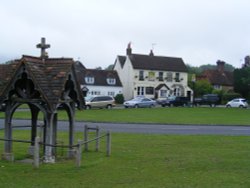 The Two Watering Holes Wallpaper