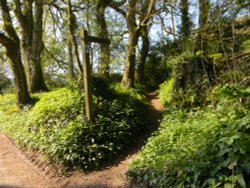 Footpath sign Wallpaper