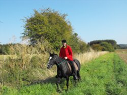 Horse country