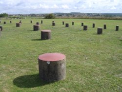 Woodhenge