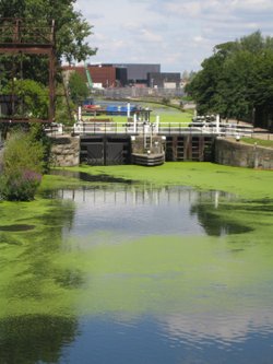 All quiet on the eastern front!