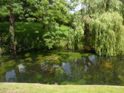 Daniel's Mill Wallpaper