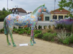 Painted Horses in and around the town of Newmarket Wallpaper