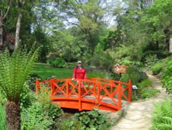 Abbotsbury Gardens Wallpaper