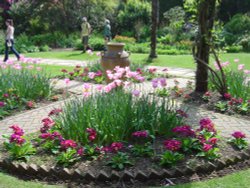 Abbotsbury Gardens Wallpaper