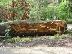 Abbotsbury Gardens Wallpaper