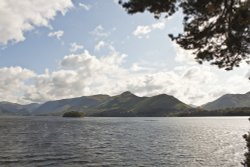 Cat Bells Wallpaper